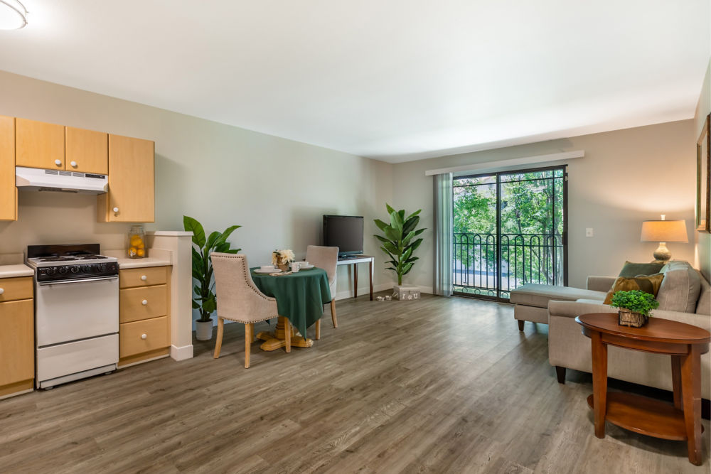 Apartment Living Room