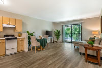 Apartment Living Room