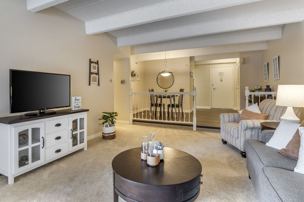 Apartment Living Room