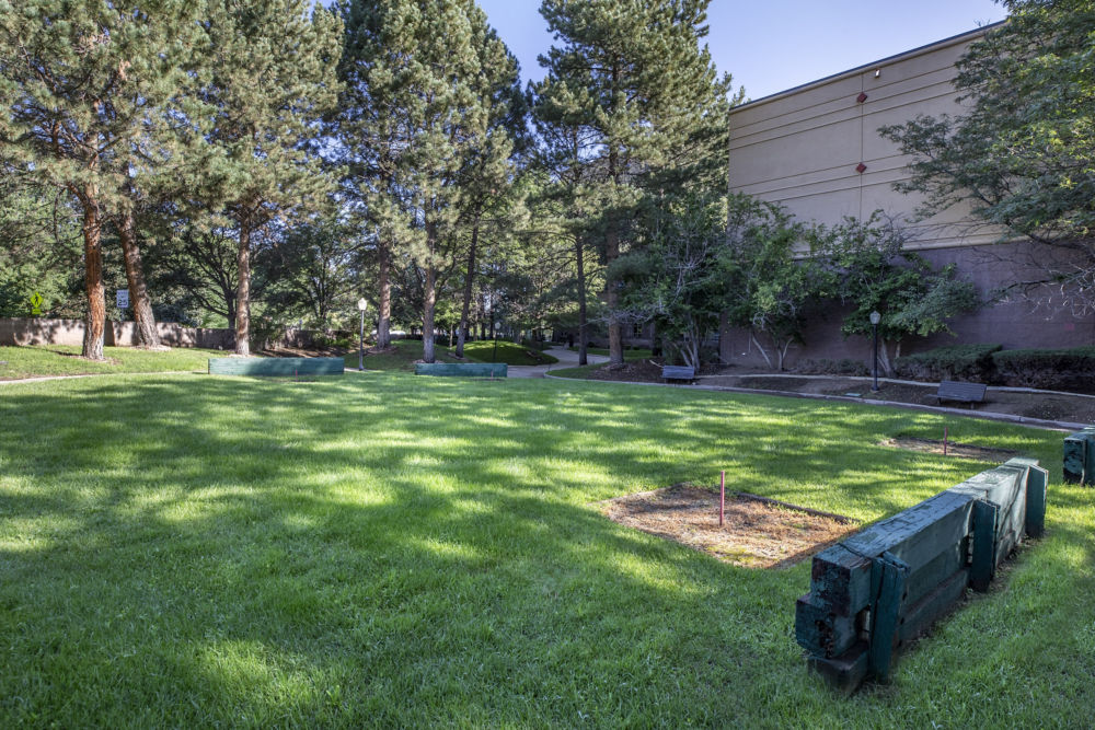 Outdoor Recreational Lawn