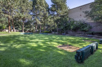 Outdoor Recreational Lawn