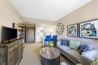 Apartment Living Room