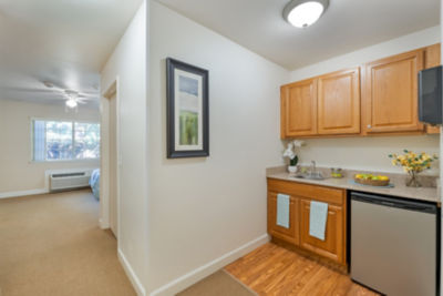 Apartment Kitchen