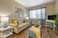 Apartment Living Room