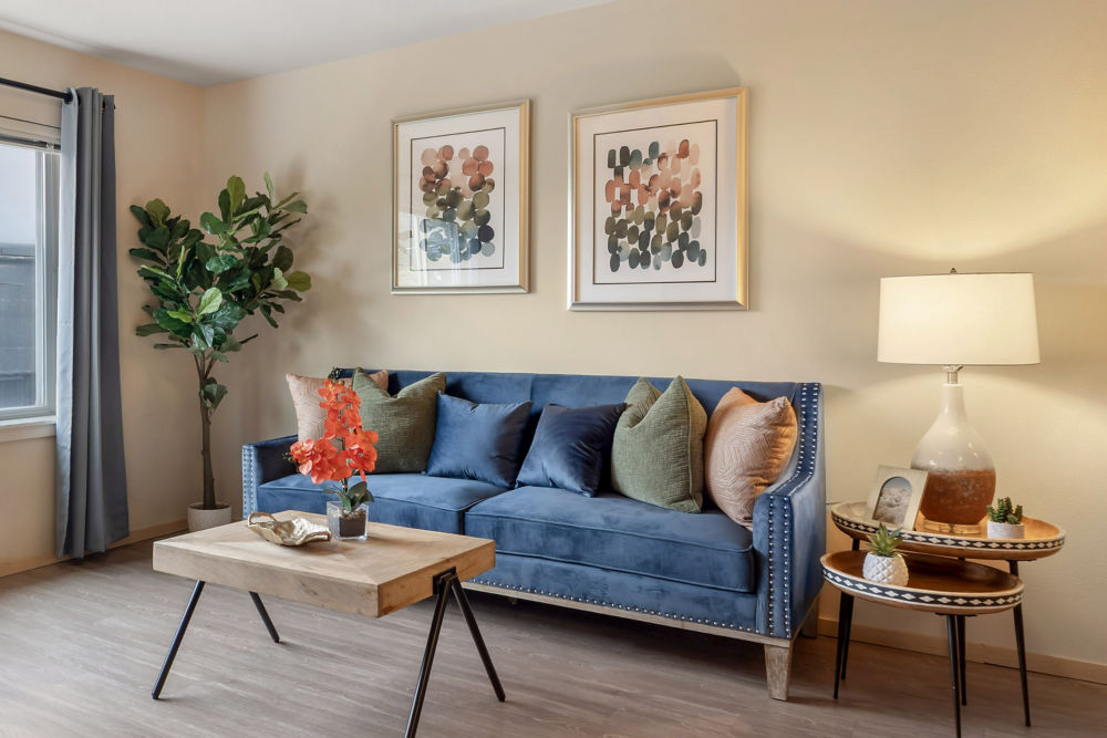 Apartment Living Room