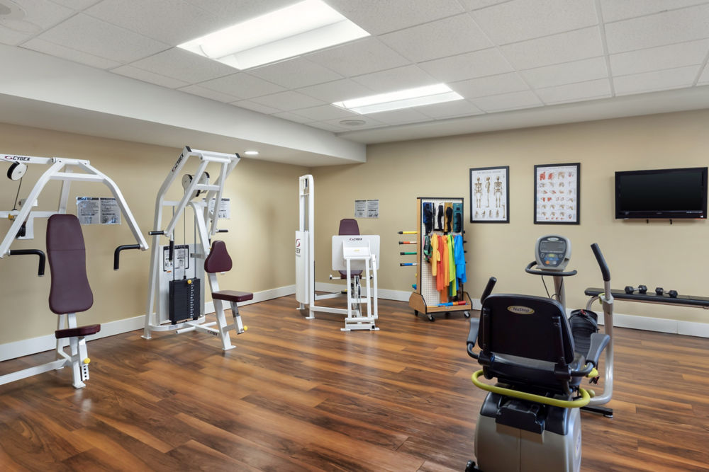 Physical Therapy