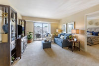 Apartment Living Room