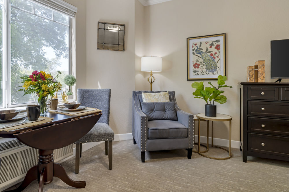 Apartment Living Room